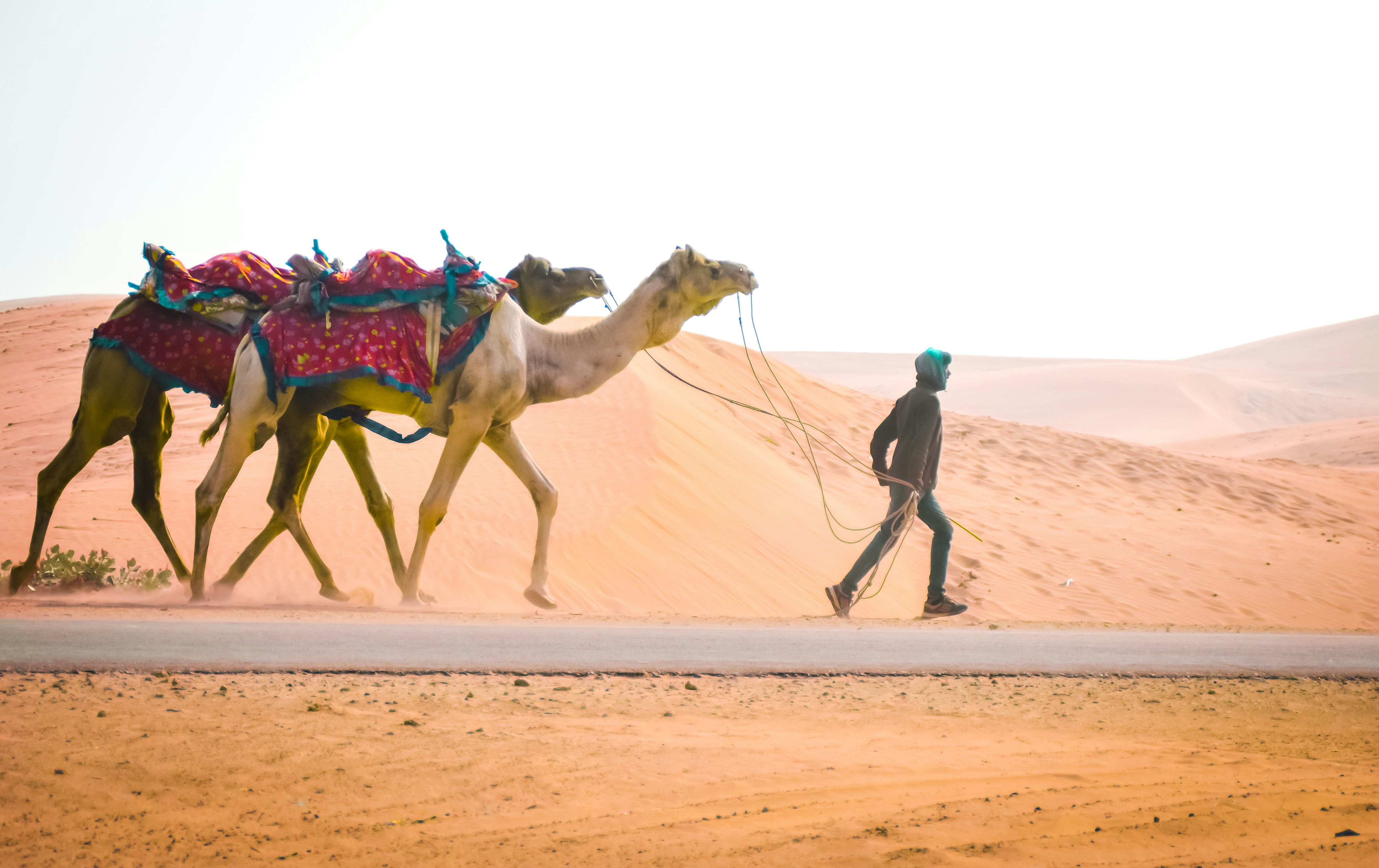 Fascinating Rajasthan ( Couple Special )