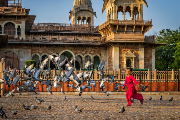 Ravishing Rajasthan ( Jaipur- Udaipur - Mount abu- Jodhpur - Jaisalmer)